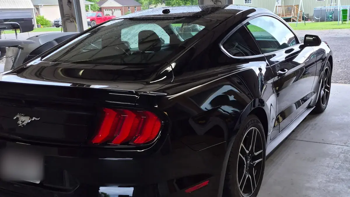 Black Ford Mustang after rear quarter panel, bumper, and paint repair by Pettie's Auto Body in Athens, Alabama.